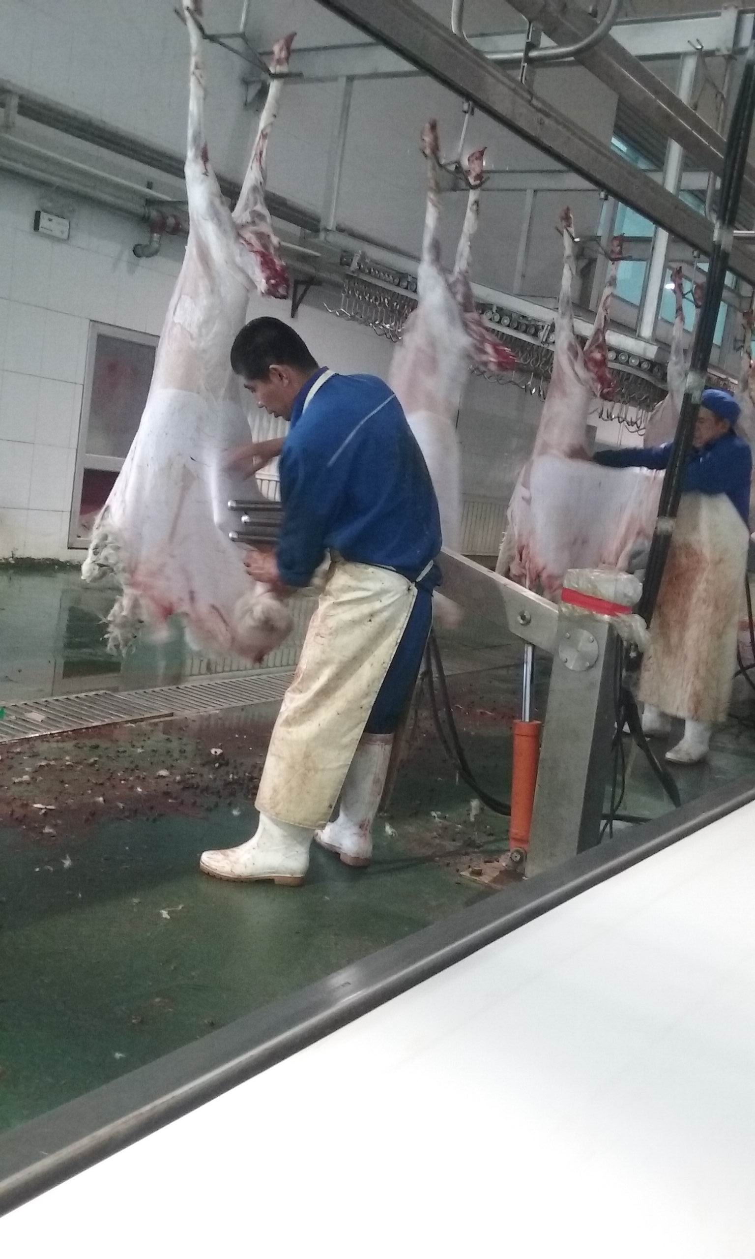 羊肉為什么要排酸？